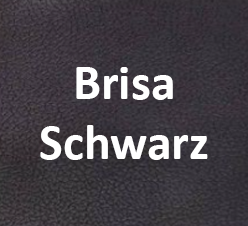 Brisa Schwarz