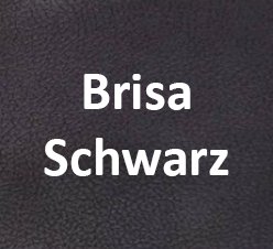 Brisa Schwarz
